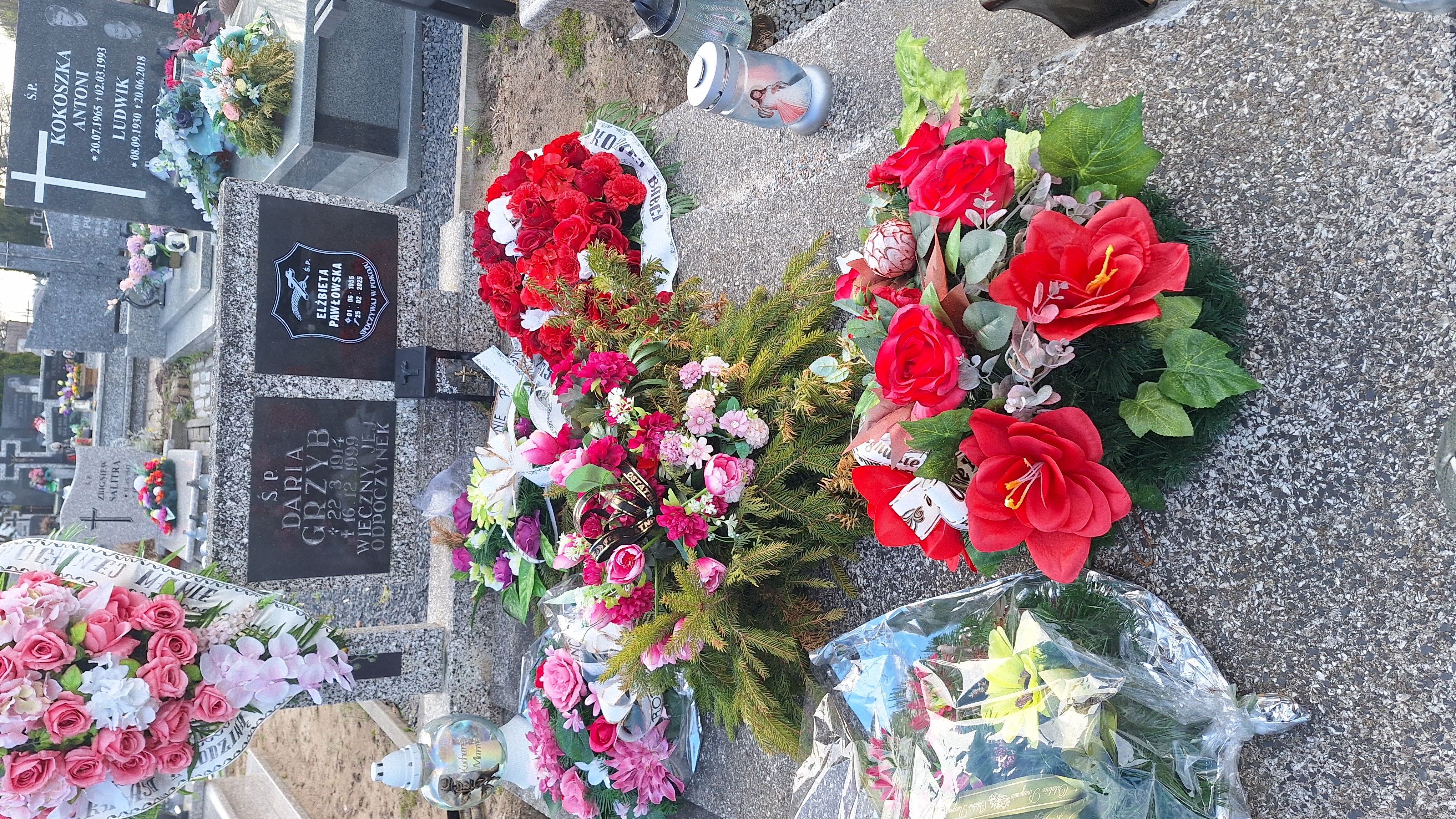 Daria Grzyb 1914 Frombork - Grobonet - Wyszukiwarka osób pochowanych