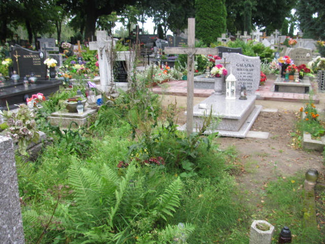 Grób Apolonia Obłoża