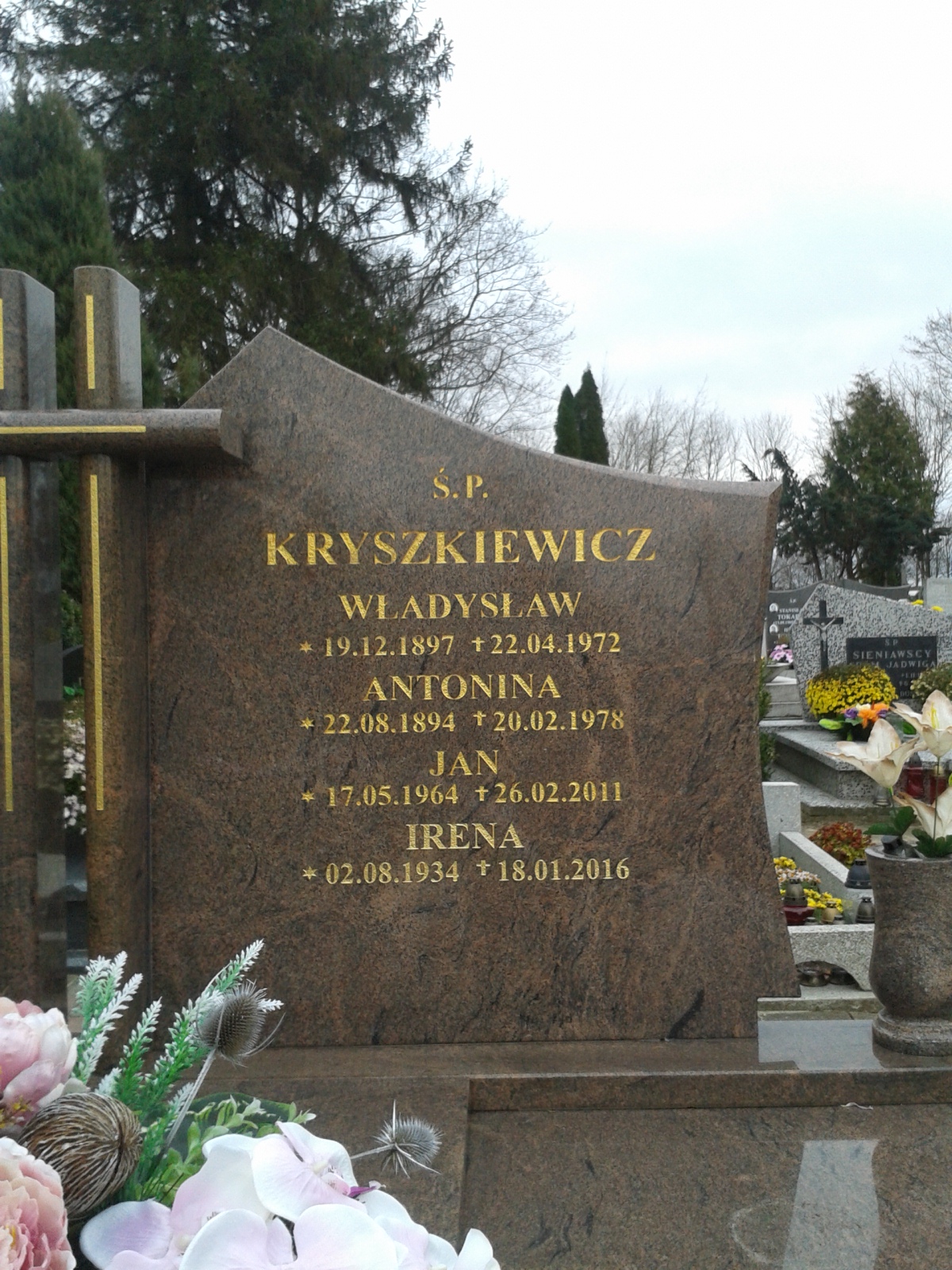 Jan Kryszkiewicz 1964 Frombork - Grobonet - Wyszukiwarka osób pochowanych